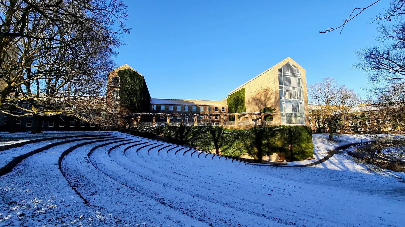 Aarhus University’s Aula building stands beyond a snow-covered park, framed by bare trees.