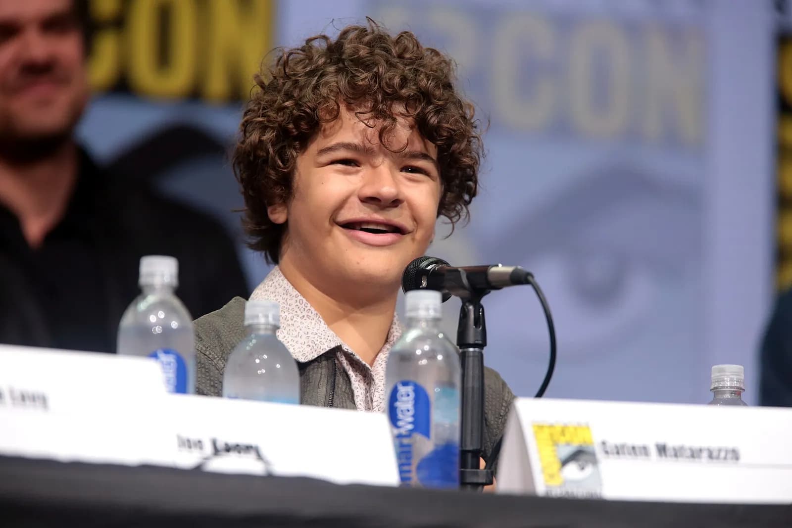 Gaten Matarazzo speaking at San Diego Comic-Con.
