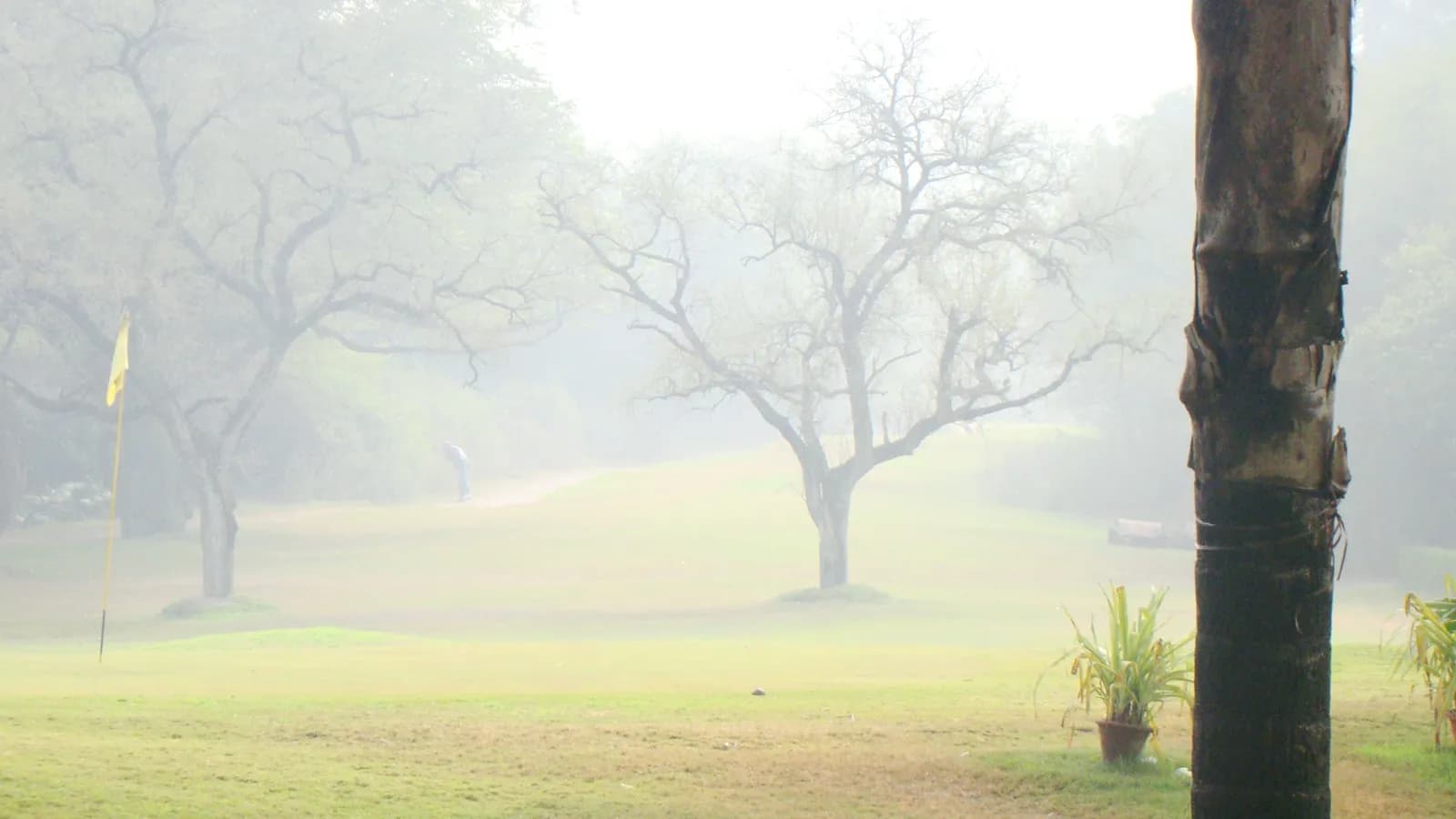 View of the Delhi Golf Club grounds in New Delhi.