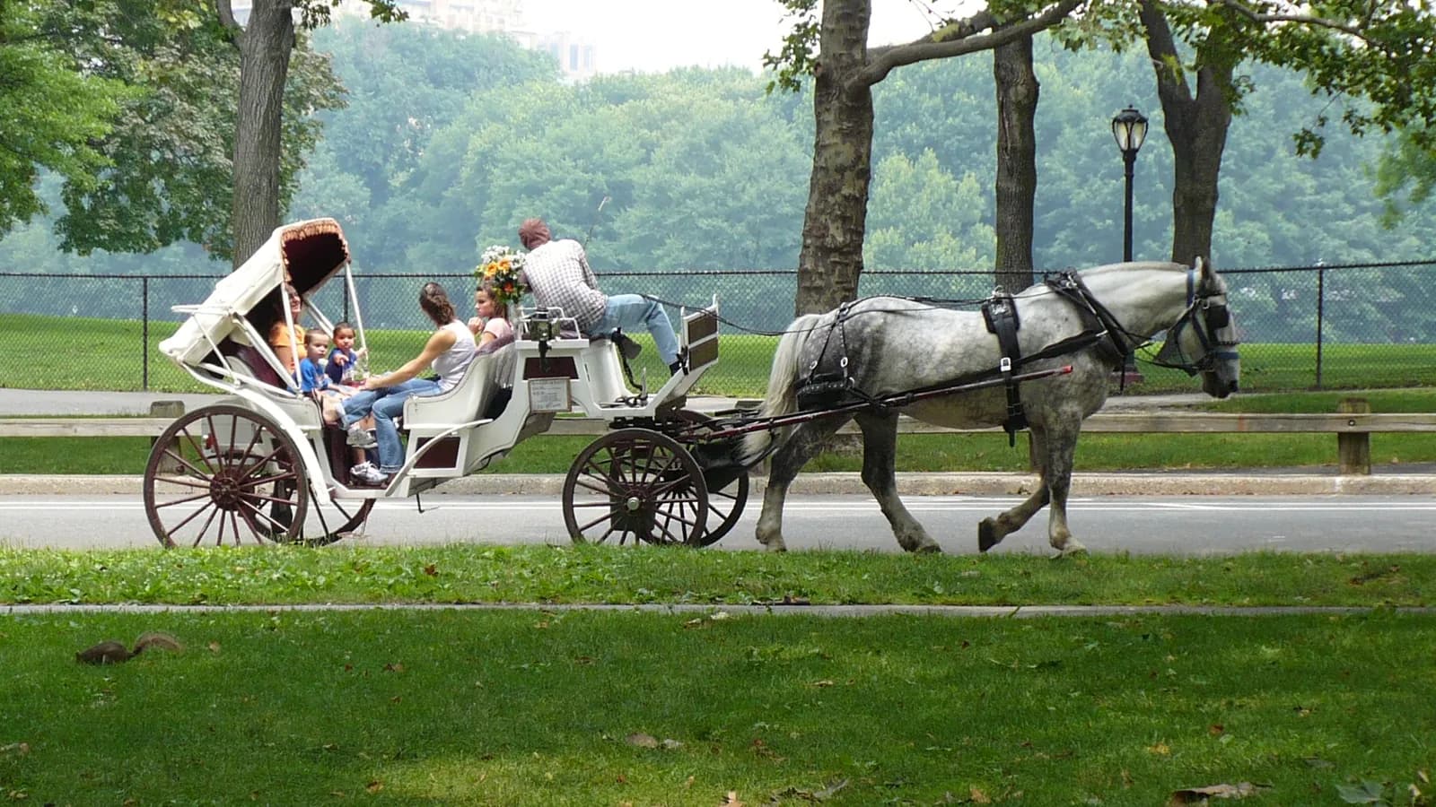 A horse-drawn carriage in Central Park, New York City.