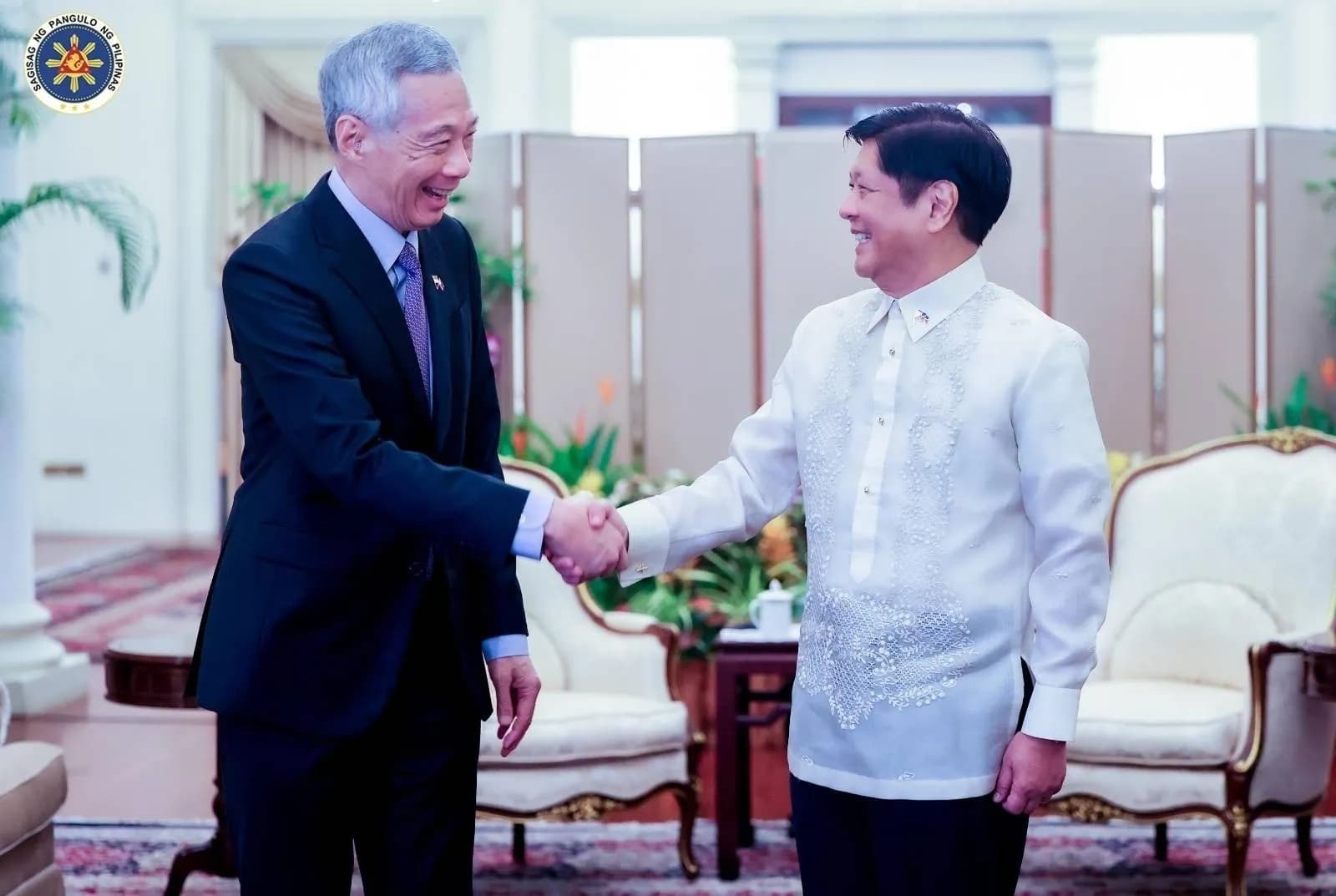 Lee Hsien Loong and Philippine President Bongbong Marcos meet at the Istana.