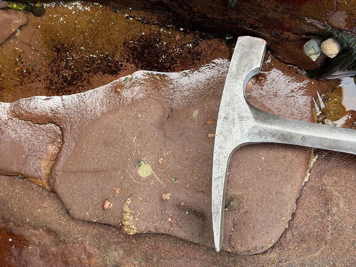Red sandstone with gray-green spots beside water, with a rock hammer for scale