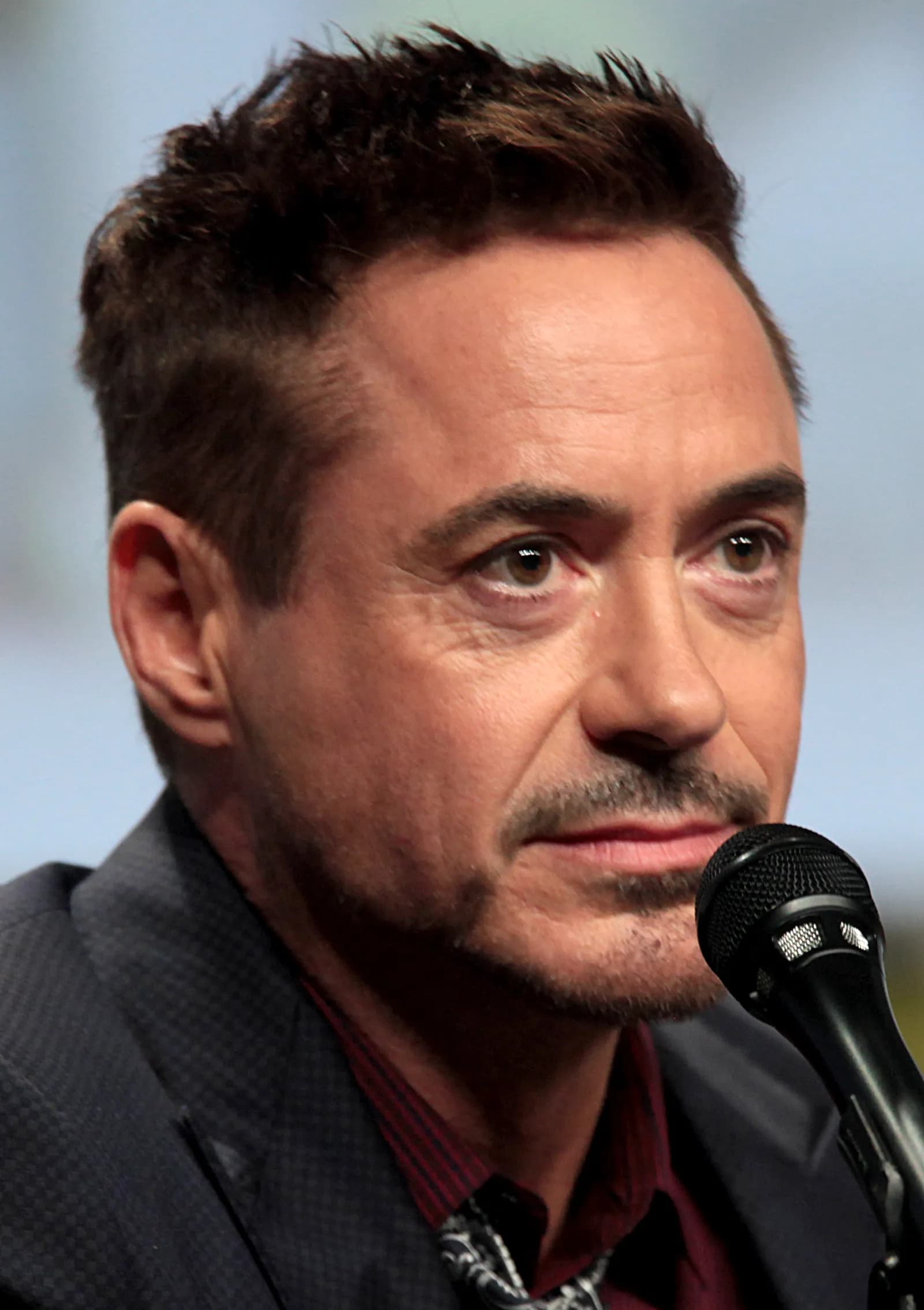 Robert Downey Jr. speaks at a panel at San Diego Comic-Con.