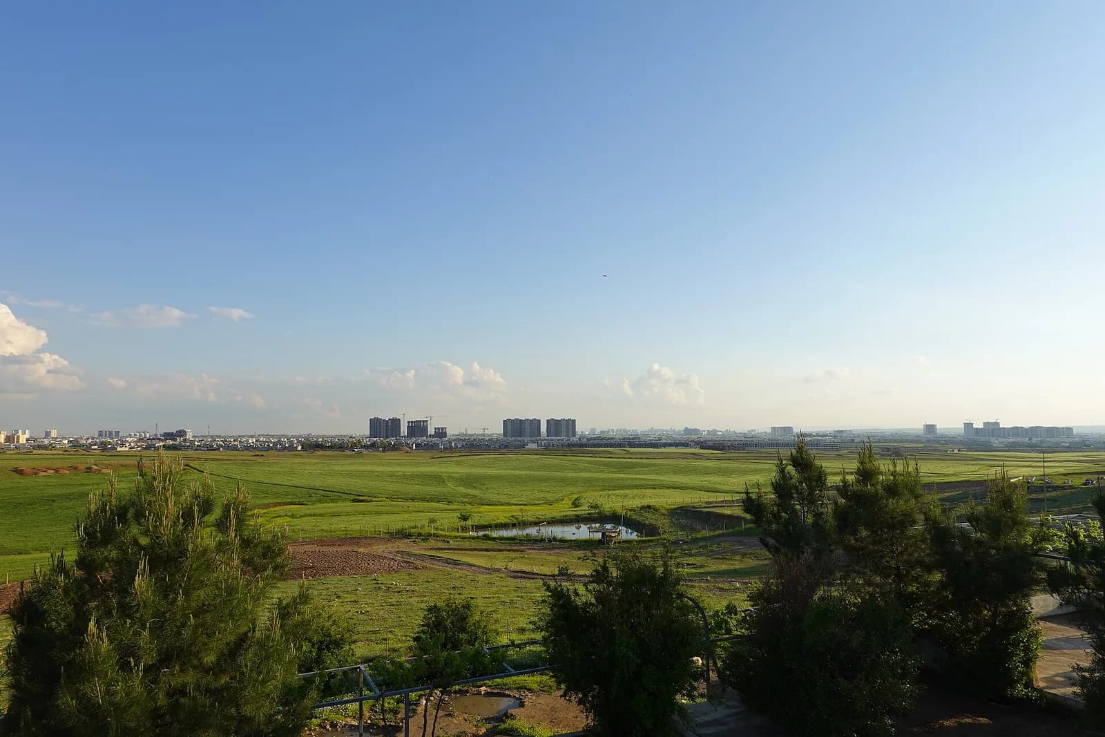 Spring landscape north of Erbil, Kurdistan Region of Iraq.
