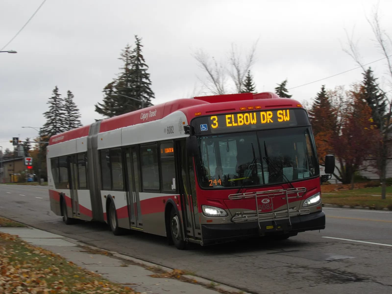 A Calgary Transit articulated bus on a city street.