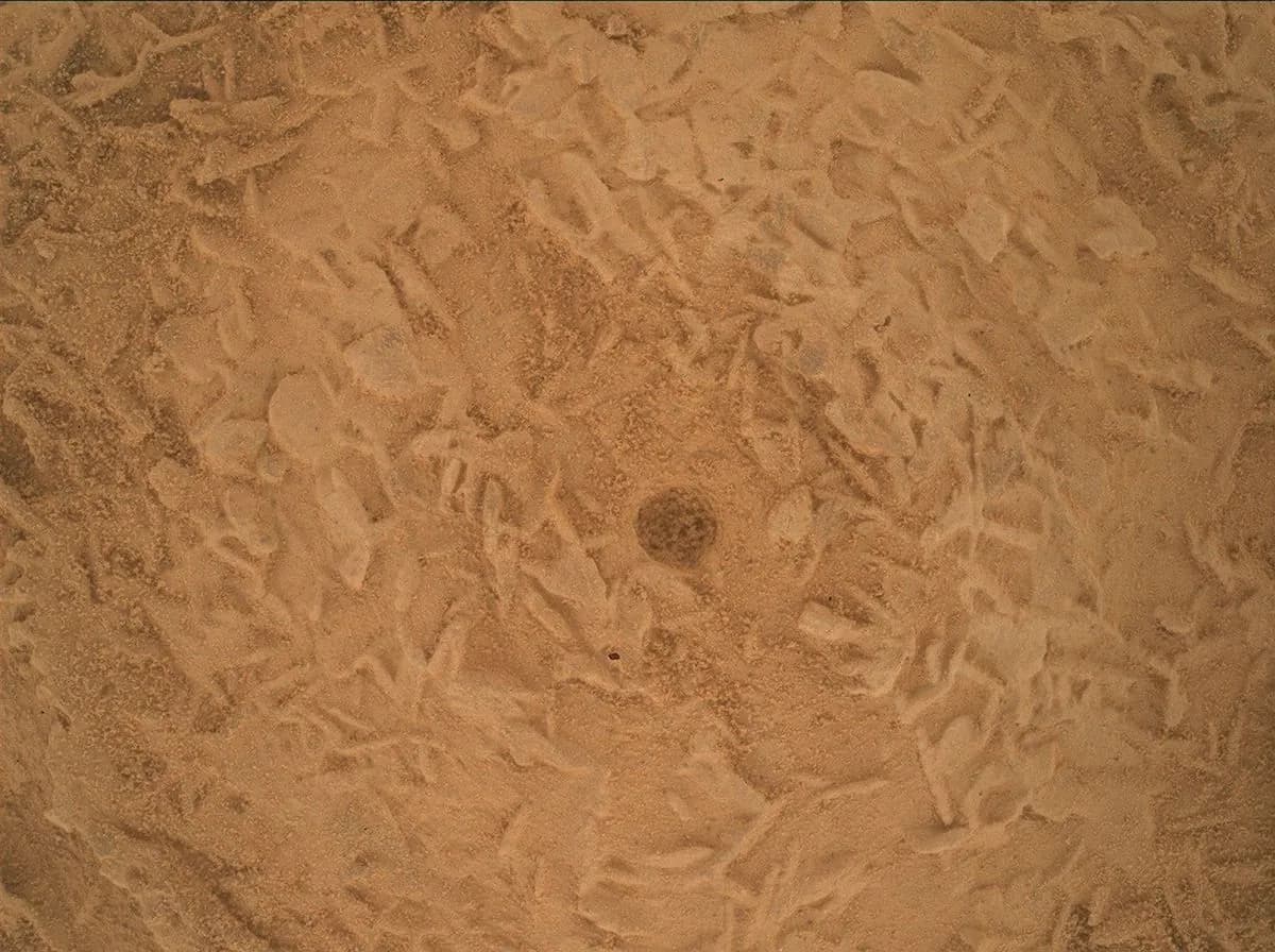 Close-up of brushed Martian bedrock with small disc-shaped features and a mark from Curiosity’s brushing tool.