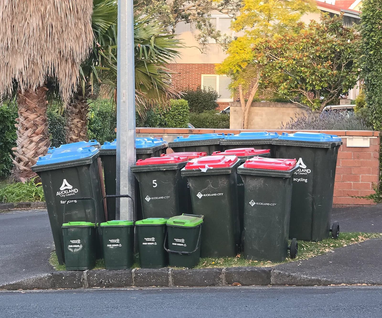 Three kerbside bins with red, blue and green lids in an Auckland suburb.