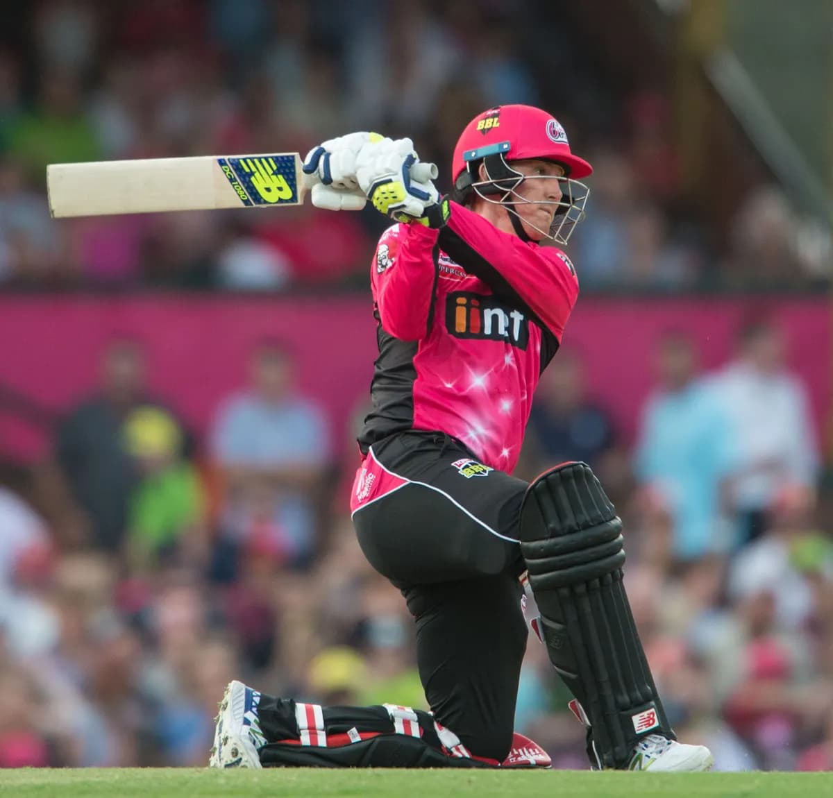 Nic Maddinson playing cricket for the Sydney Sixers at the Sydney Cricket Ground.