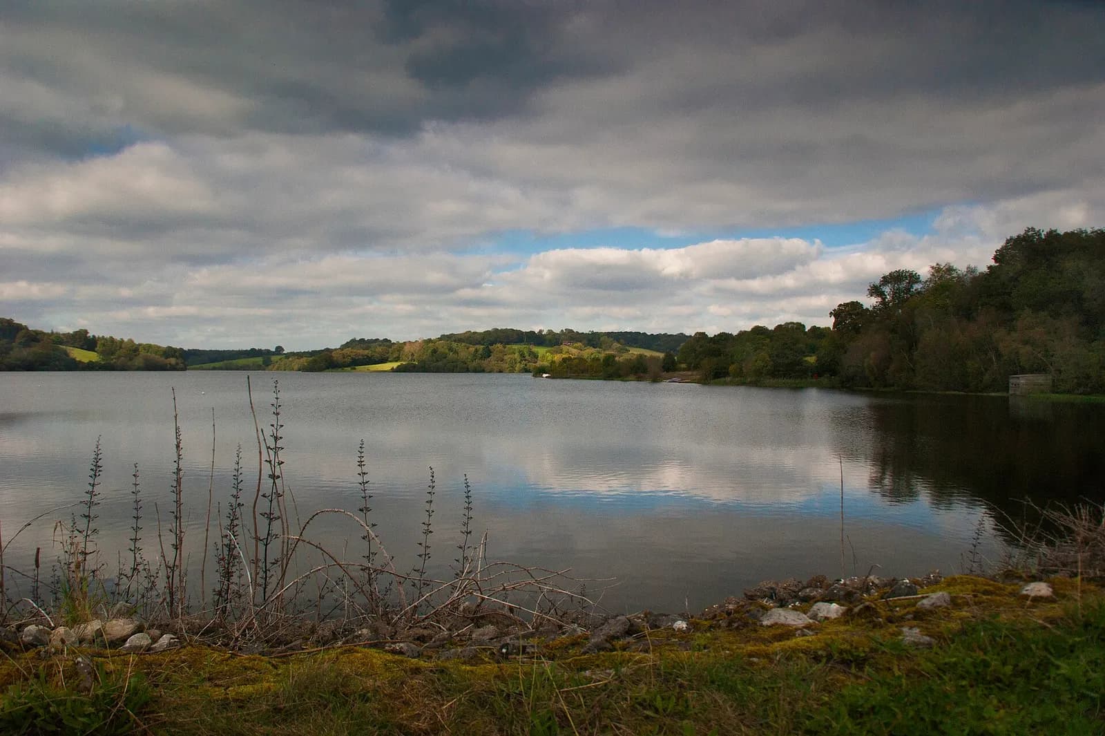 View across Ardingly Reservoir in West Sussex.