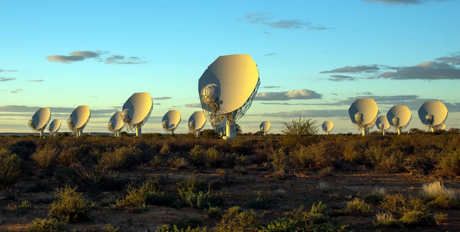 MeerKAT radio telescope dishes in South Africa.