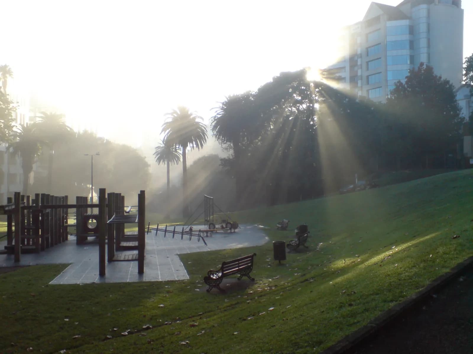 A view north through Myers Park toward Auckland’s central business district, with a playground and sunlight filtering through trees.