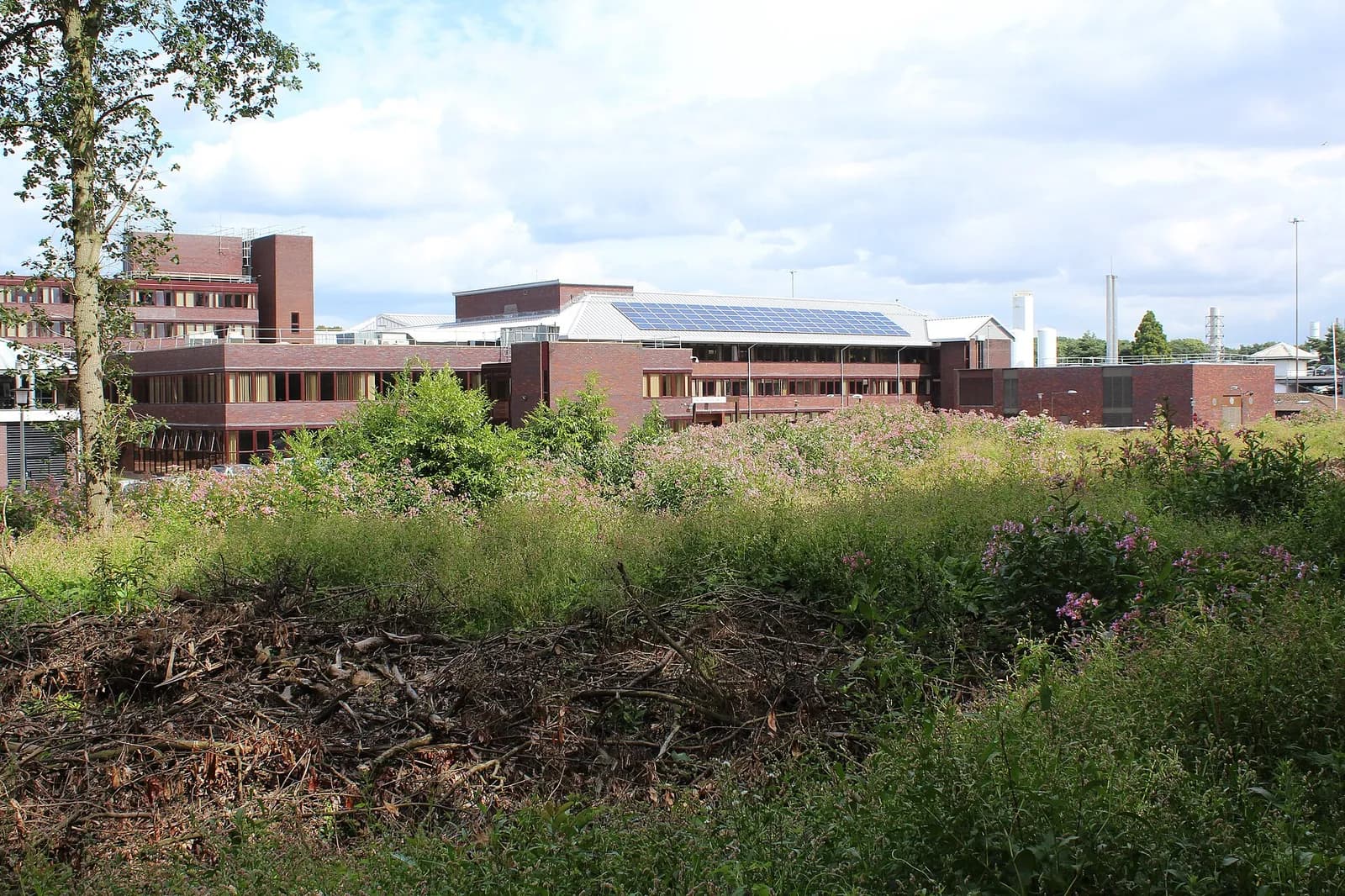 Office of National Statistics building in Newport, Wales, with solar panels visible on the roof.