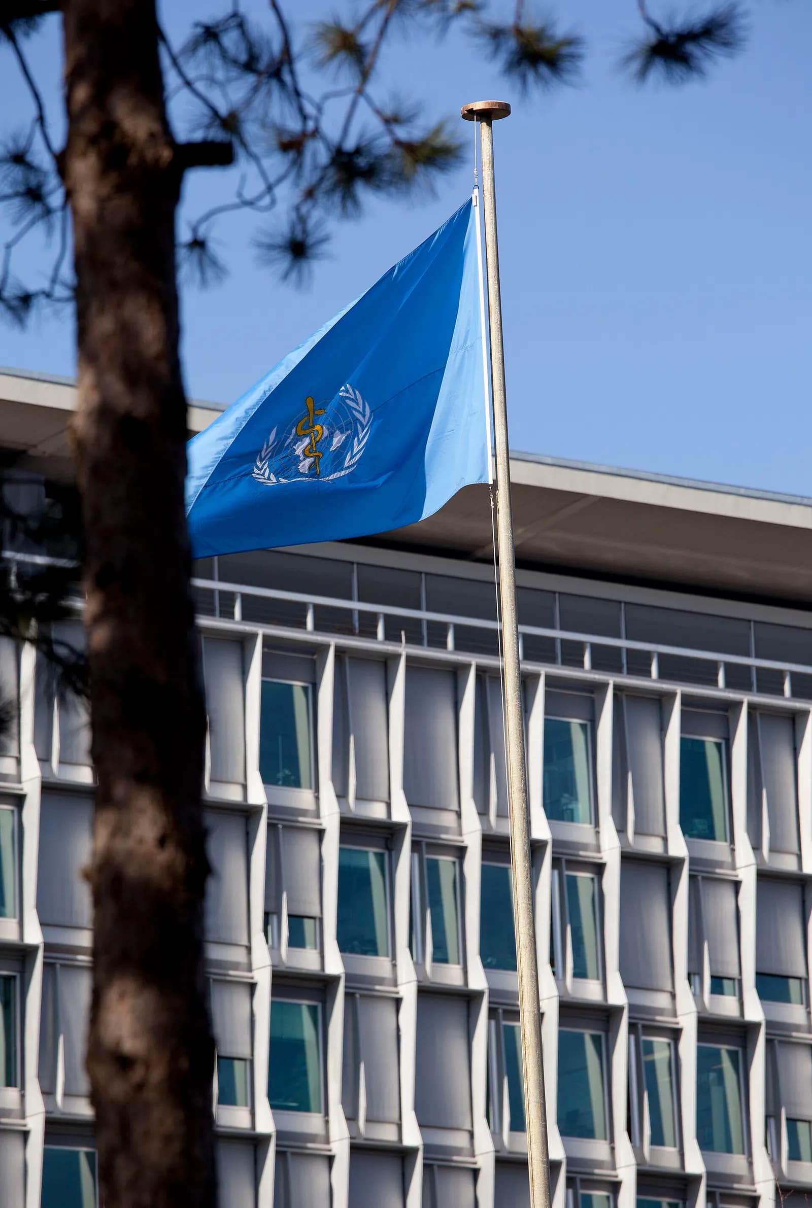 The World Health Organization flag outside the organization’s headquarters in Geneva, Switzerland.
