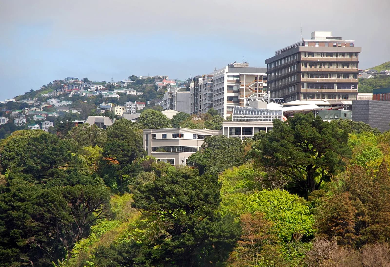 Kelburn Campus of Victoria University of Wellington.