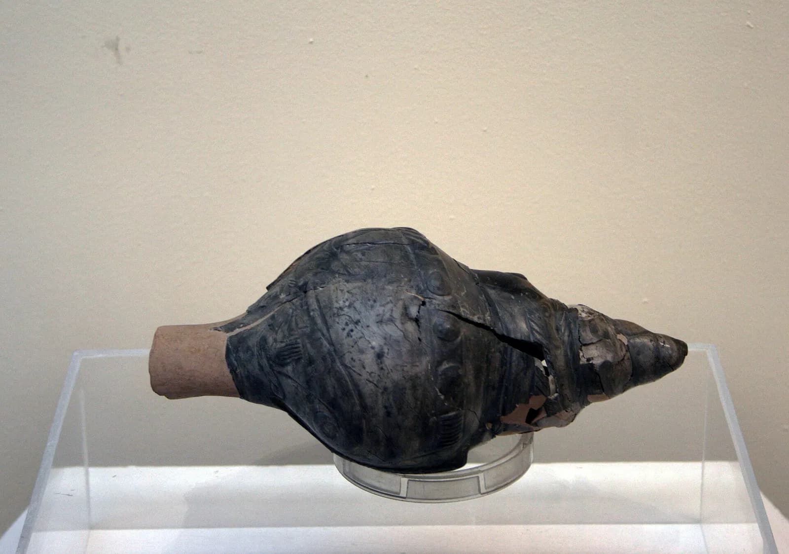 A snail-shaped rhyton associated with Kültepe, displayed at the Museum of Anatolian Civilizations.