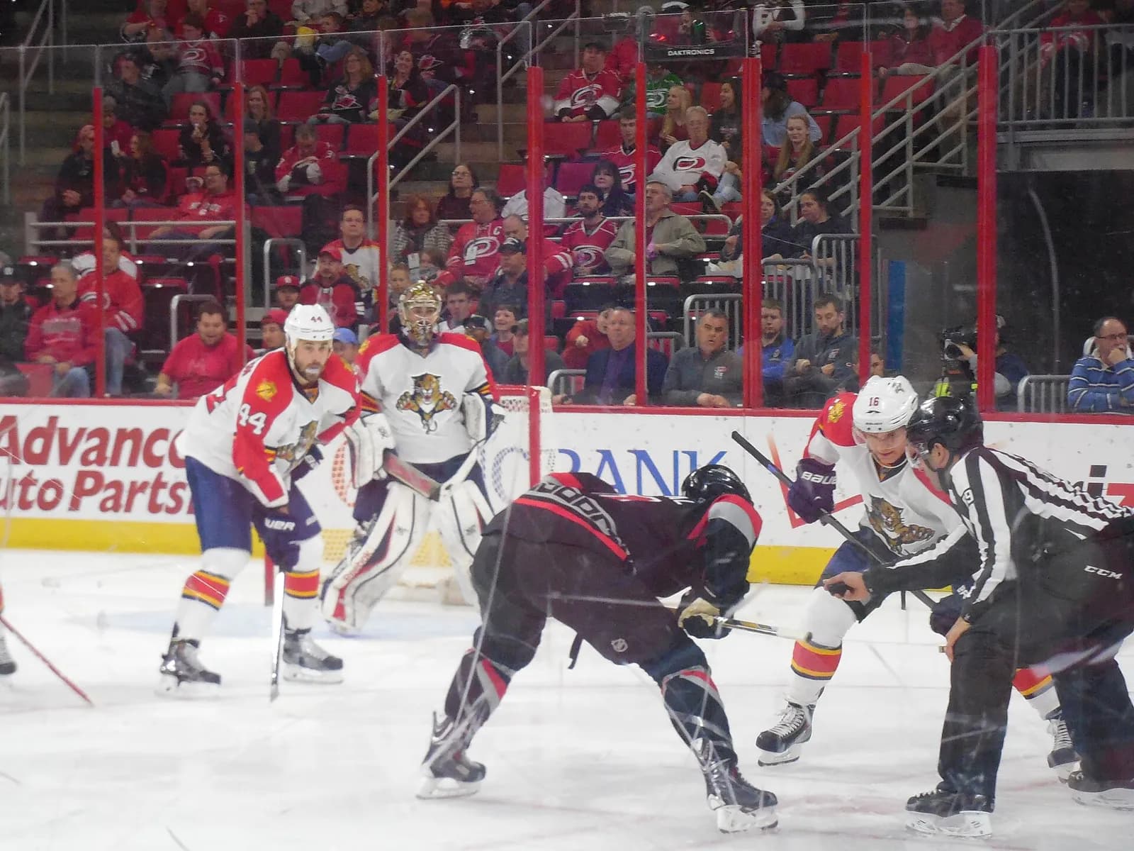 Florida Panthers players during a game against the Carolina Hurricanes at PNC Arena in Raleigh.