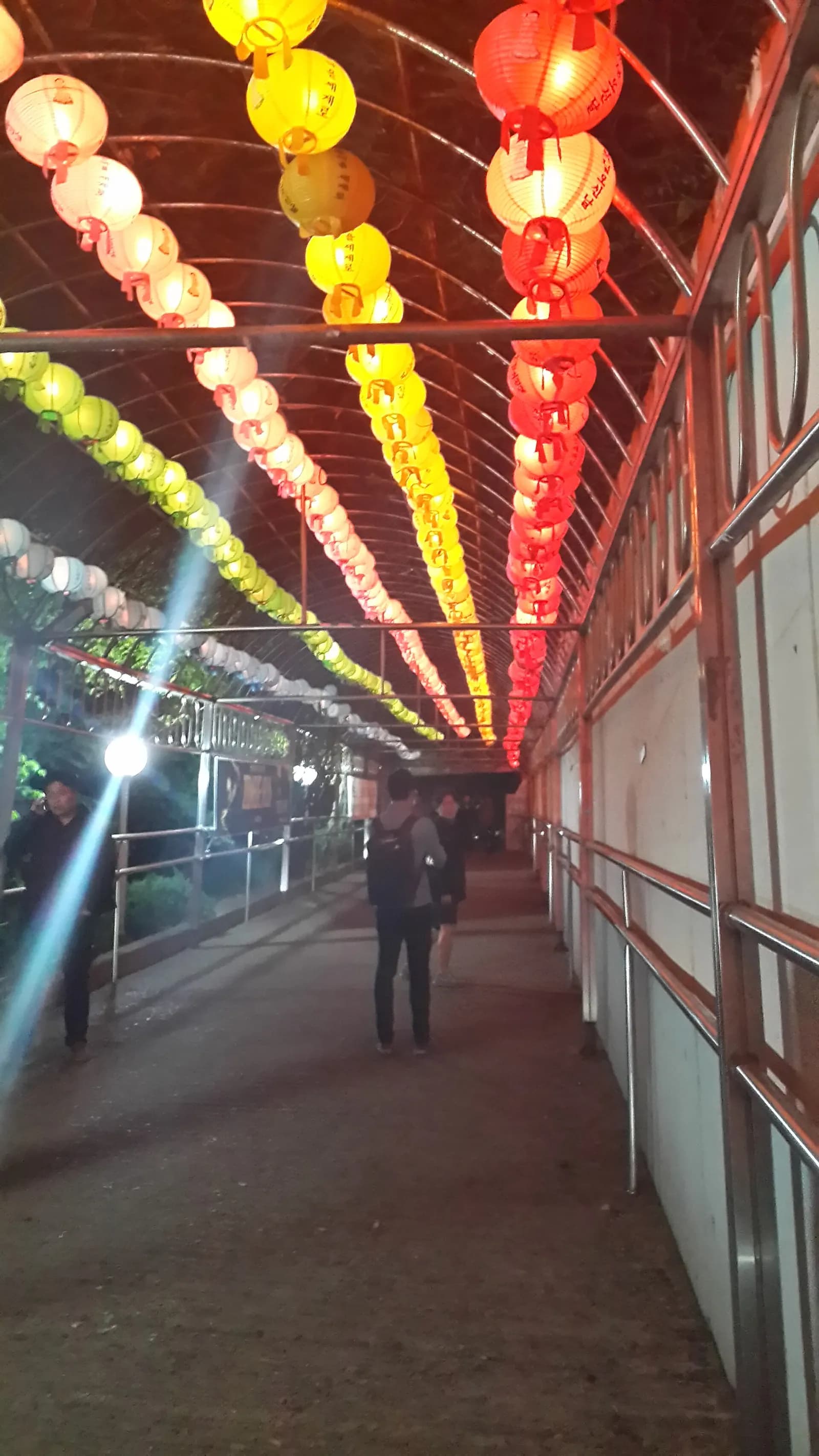 Lotus lanterns arranged across Dongguk University’s campus in Seoul.