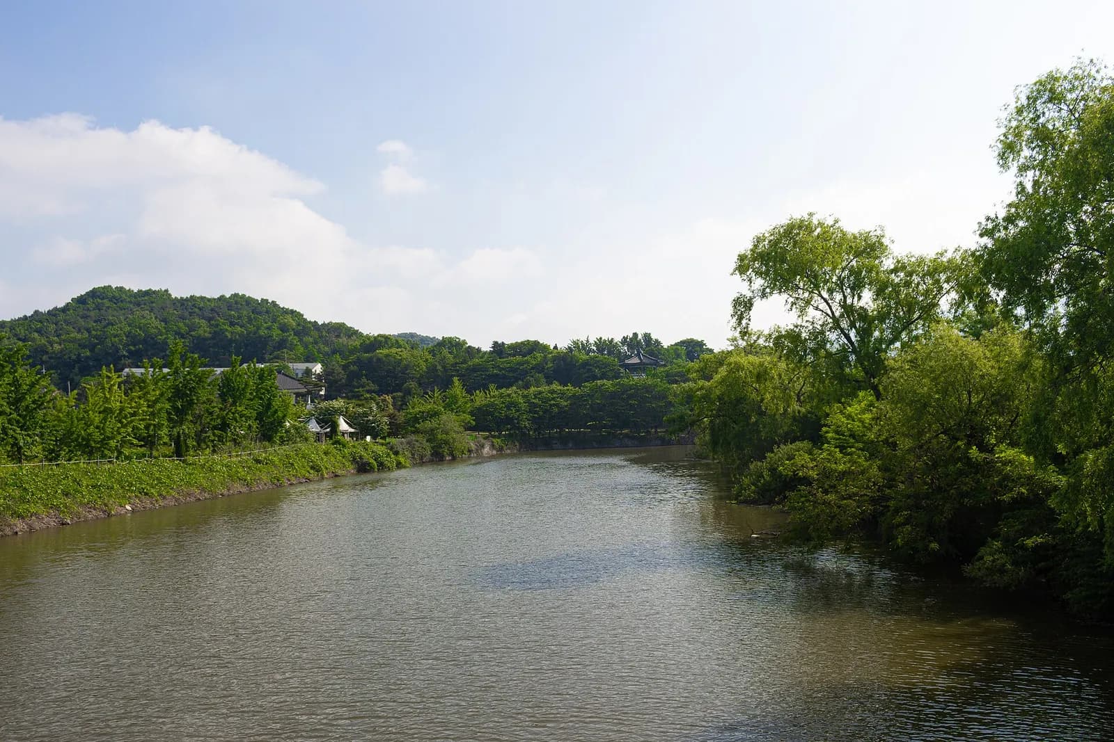 Wooded hills and buildings beside a river on Ganghwa Island, South Korea.