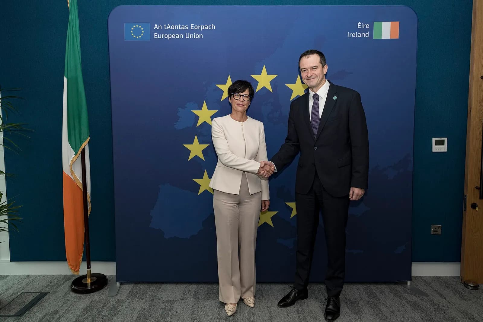 Marta Kos and Vsevolod Chentsov shake hands in front of European Union and Irish flags.