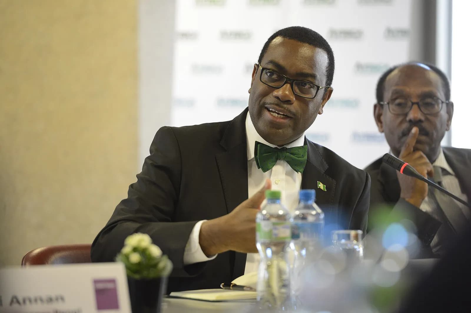 Akinwumi Adesina at an Africa Progress Panel expert meeting.
