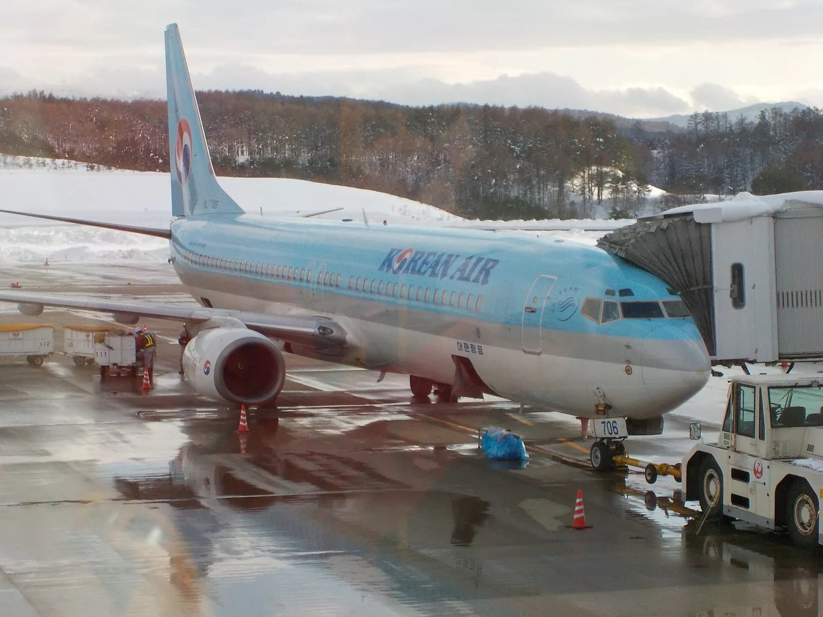 A Korean Air Boeing 737-9B5 aircraft at Aomori Airport.