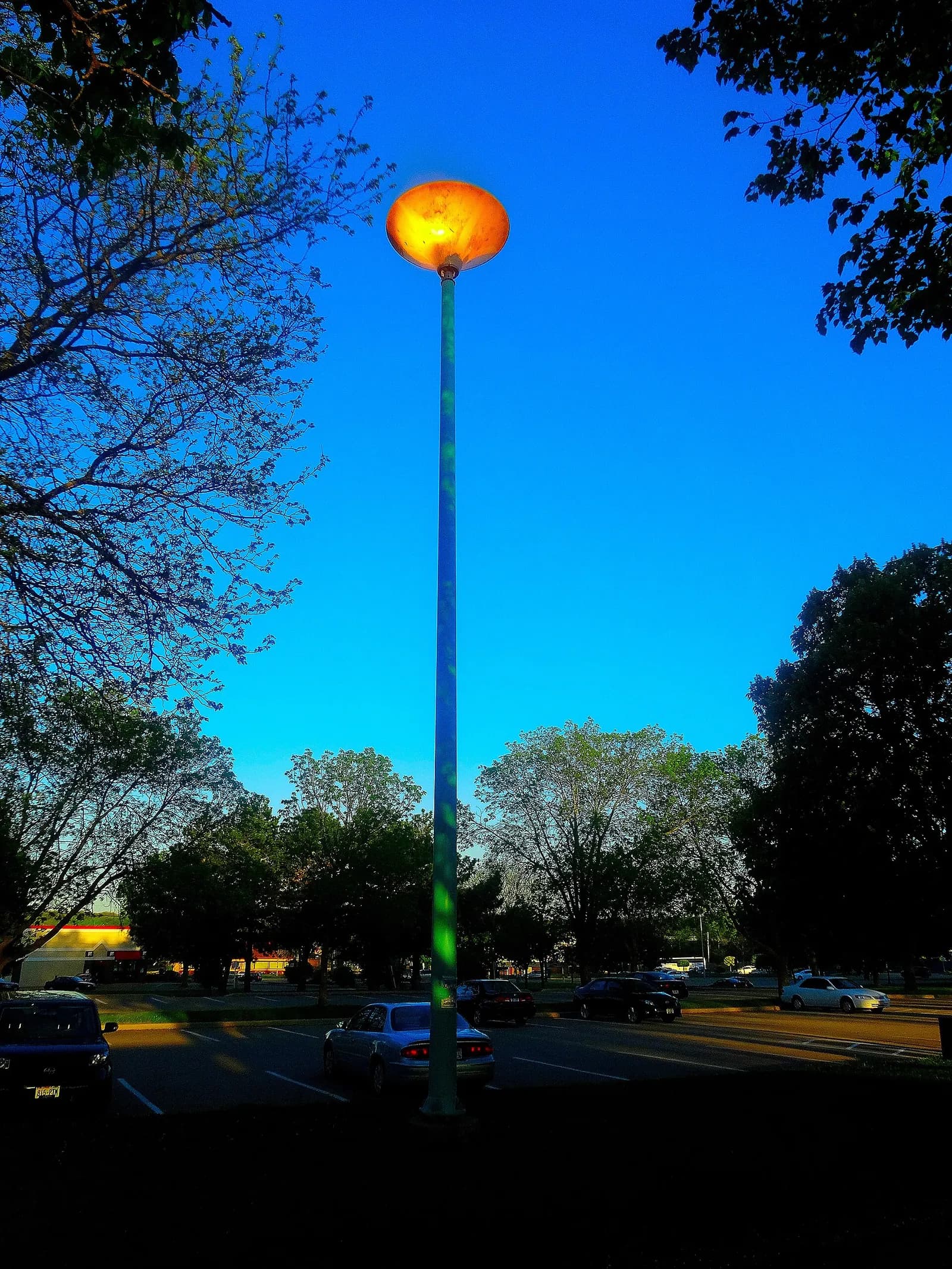 Street light in Reindahl Park, Madison