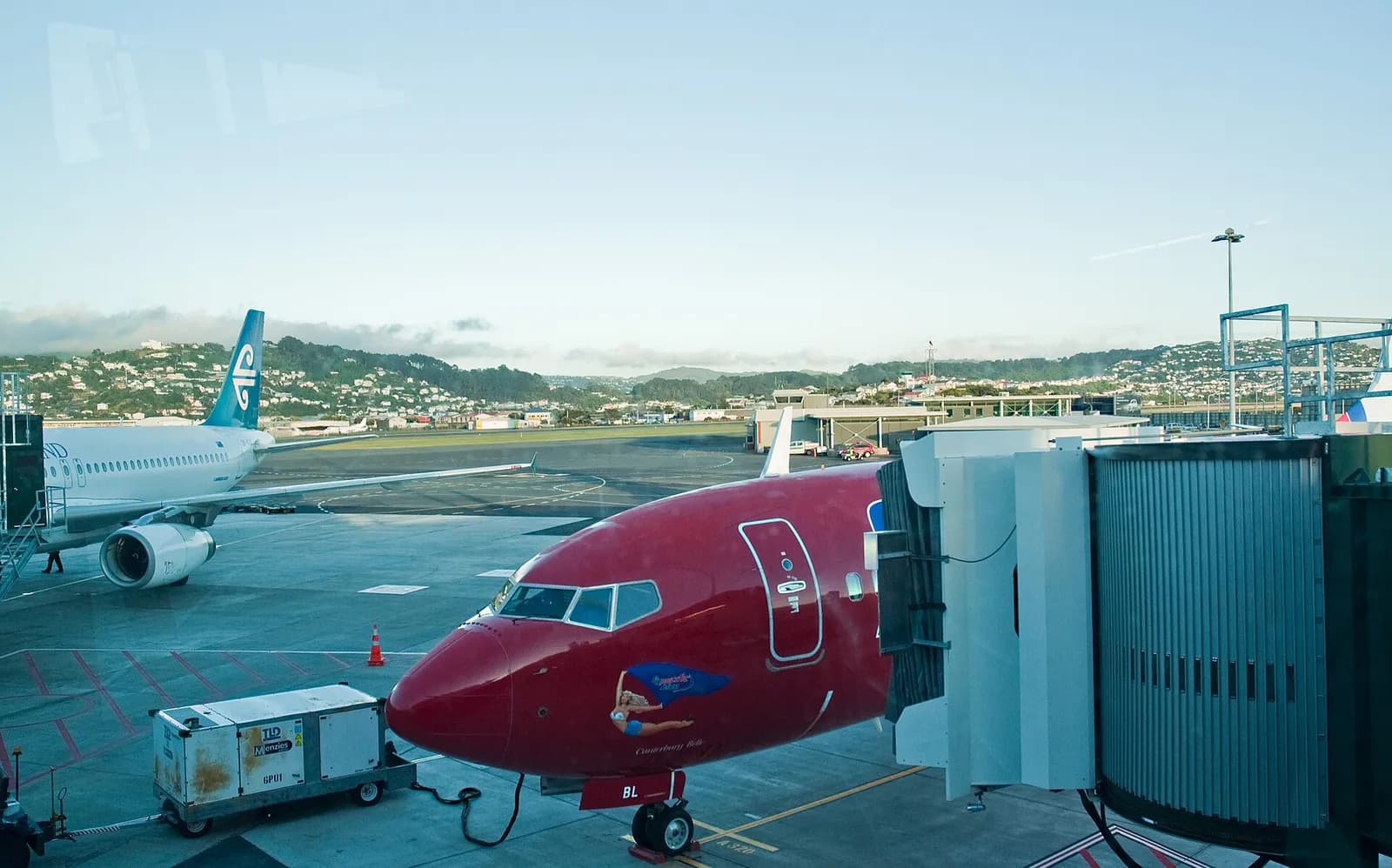 Aircraft on the Wellington Airport apron, with a jet bridge beside a red aircraft in the foreground.