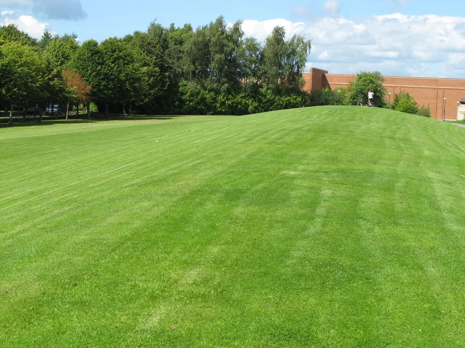 Landscaped grounds at the University of Limerick.