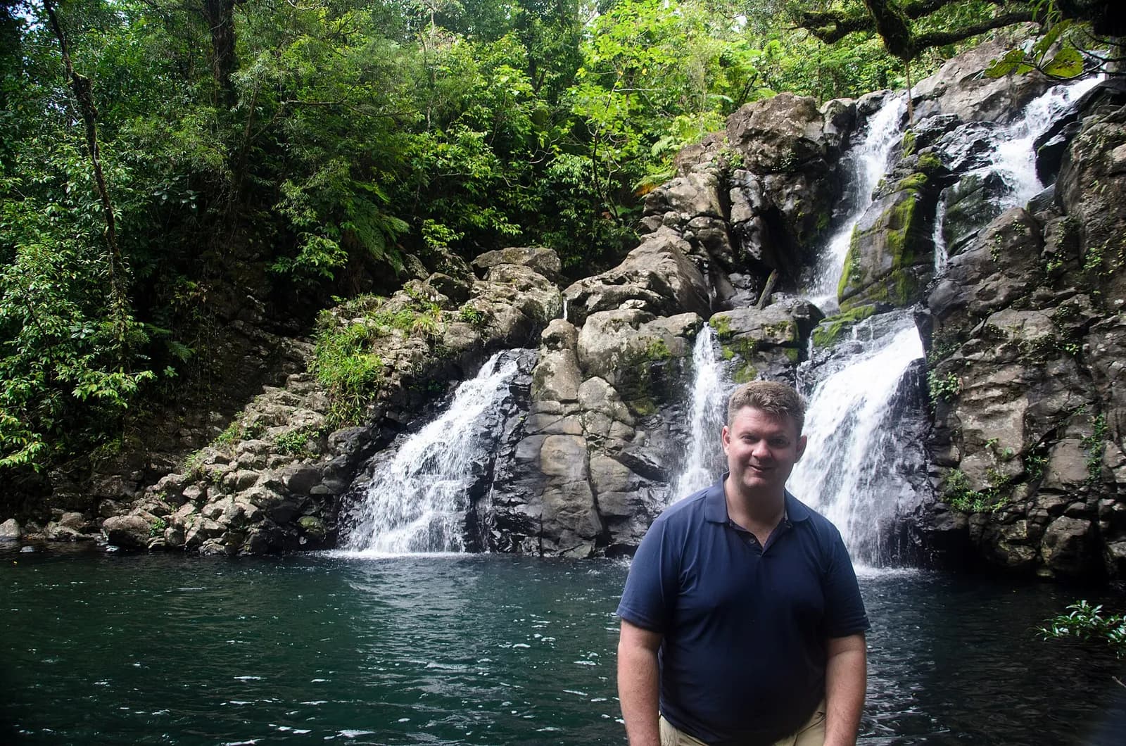 Forest-covered landscape in Fiji.