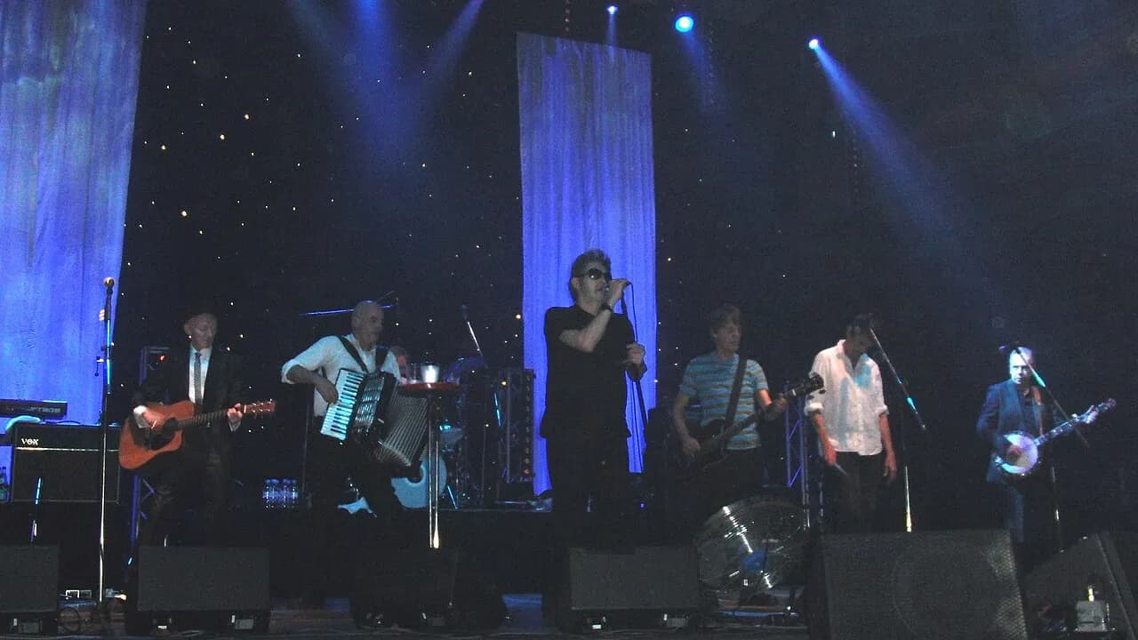 The Pogues performing onstage in Munich in 2011