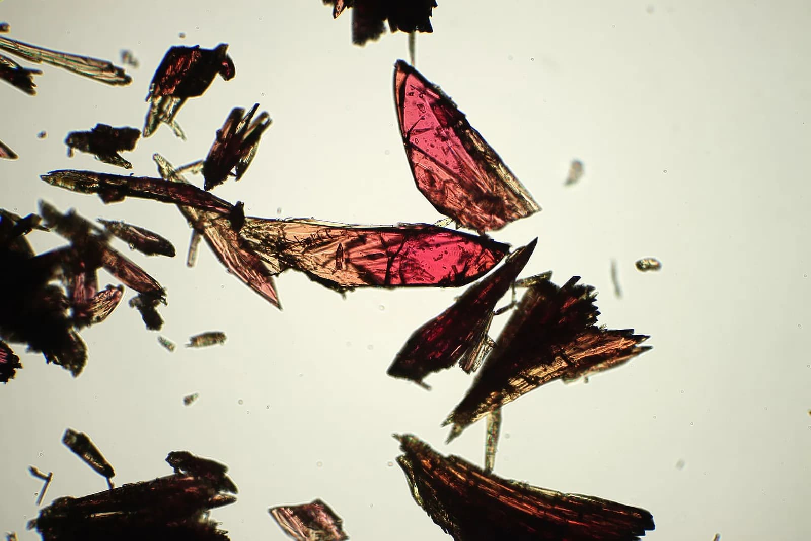 Iron-based metal-organic framework crystals in a microscopy photograph.