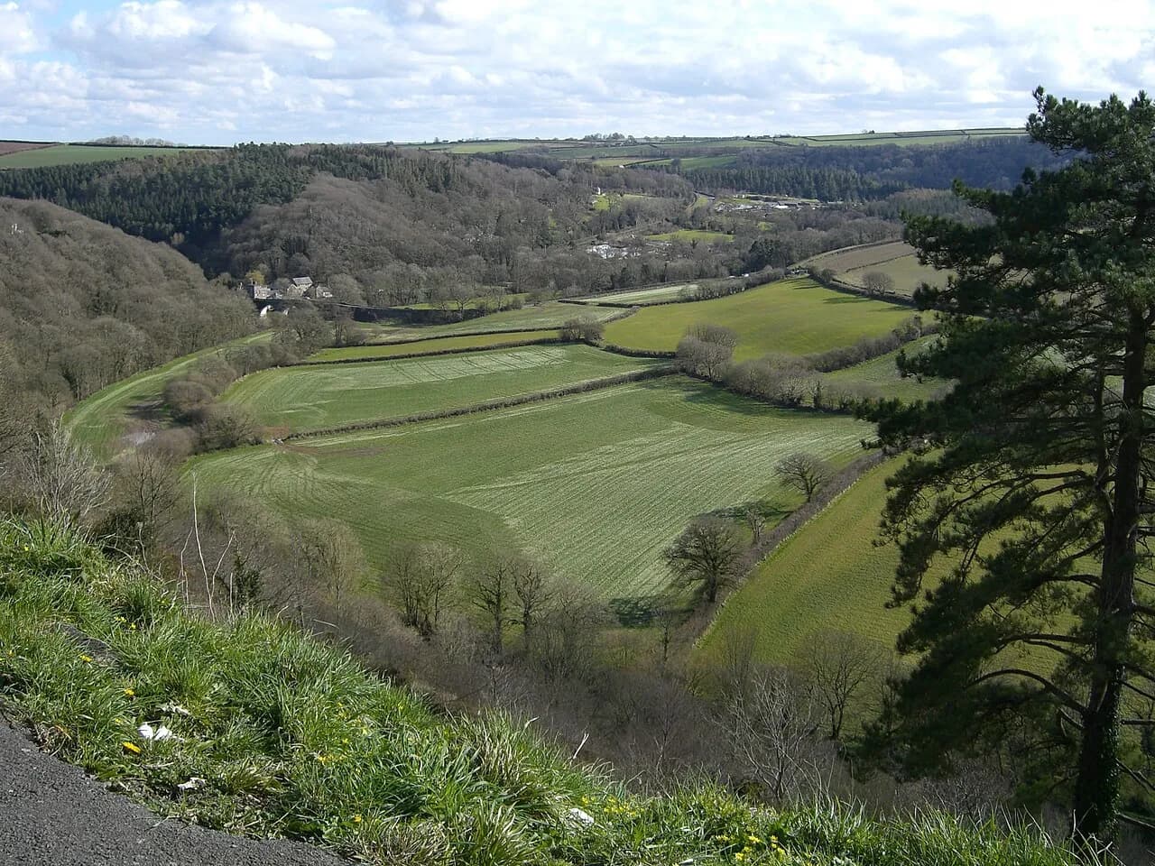 View across fields in the Torridge Valley from Great Torrington, Devon