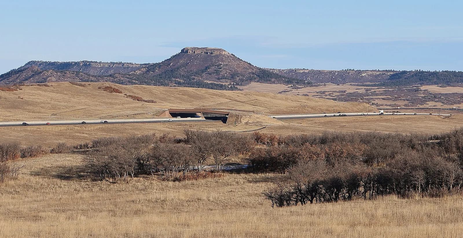 The I-25 Greenland Wildlife Overpass seen from east of the interstate, with Larkspur Butte in the background.