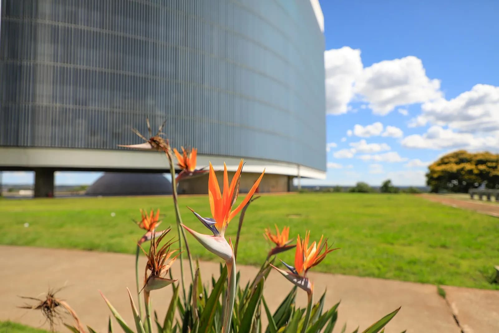 Exterior of Brazil’s Superior Electoral Court headquarters in Brasília.