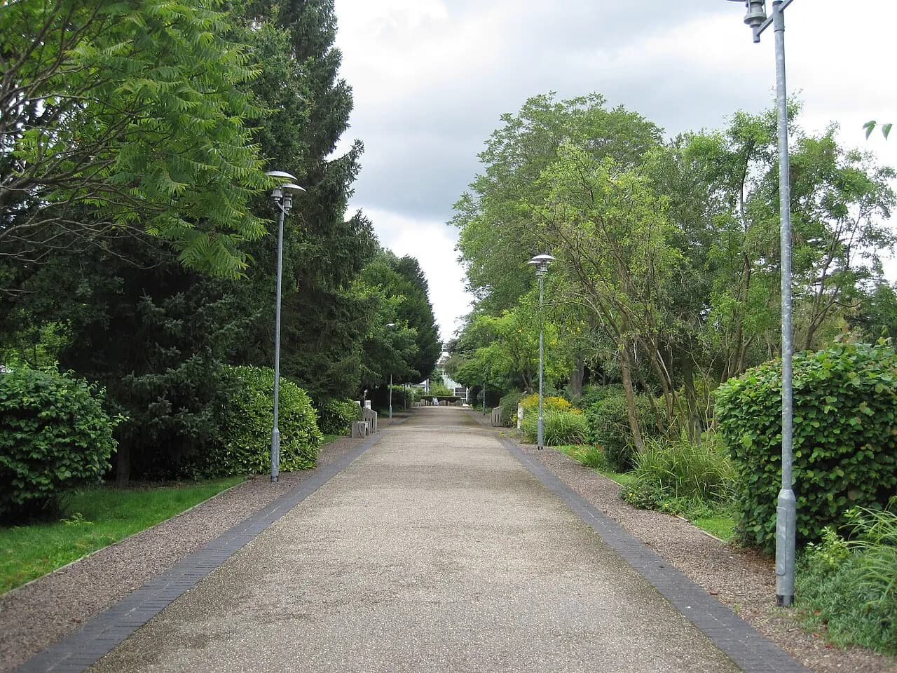 A tree-lined path at the University of Gloucestershire’s Park Campus in Cheltenham.