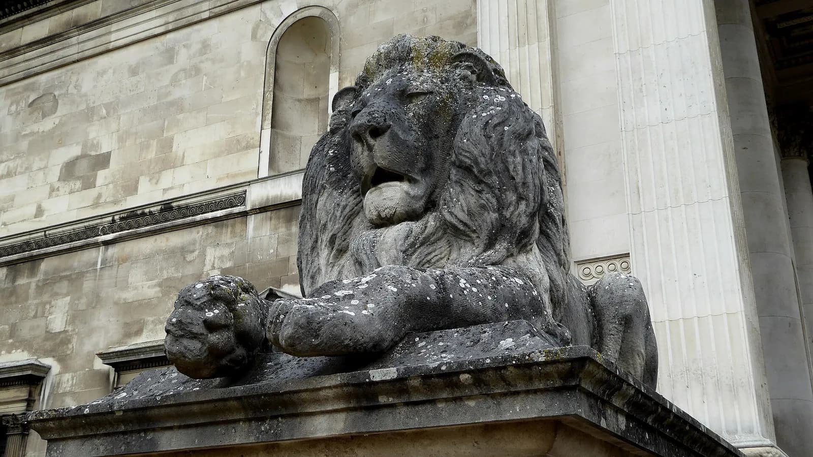 A stone lion outside the Fitzwilliam Museum in Cambridge.