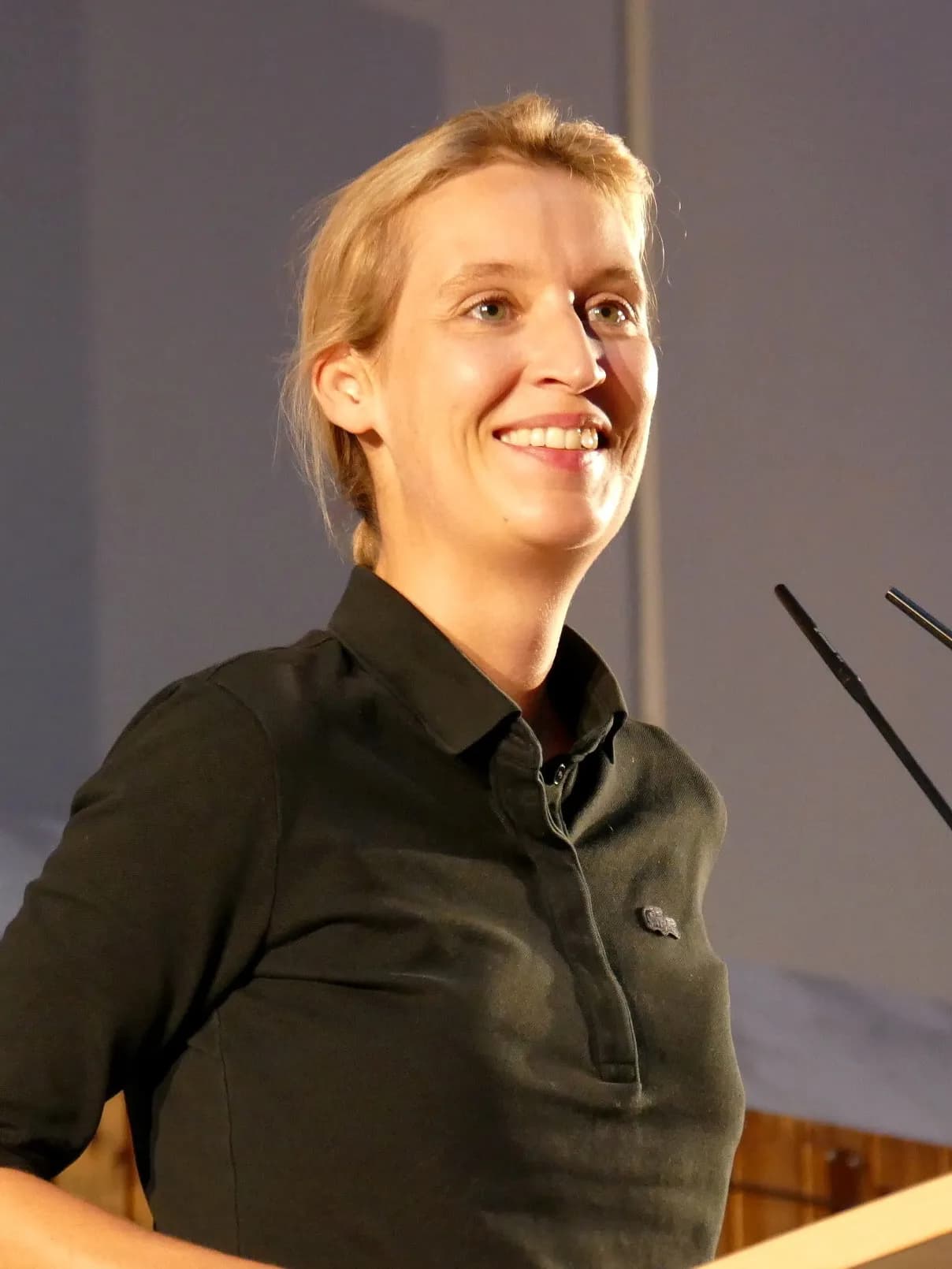 Alice Weidel at an AfD information event in Schriesheim.
