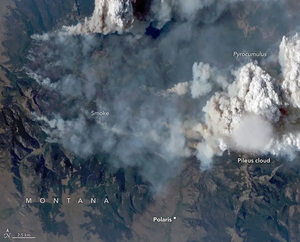 A thin pileus cloud above a towering wildfire cloud and smoke over mountainous terrain in Montana